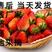 云南夏季草莓，自己家农场种植，全国发货，品质优良