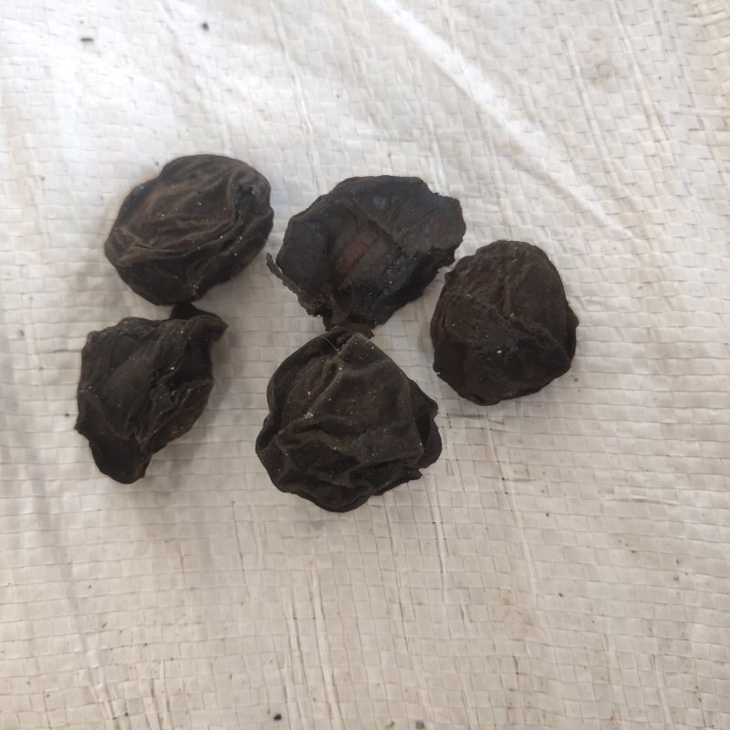 乌梅大选水洗烘干关书药业