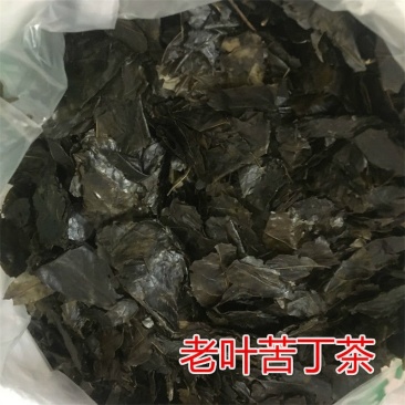 小叶苦丁茶老叶，大叶