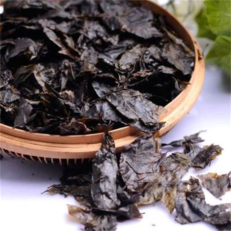 小叶苦丁茶老叶，大叶