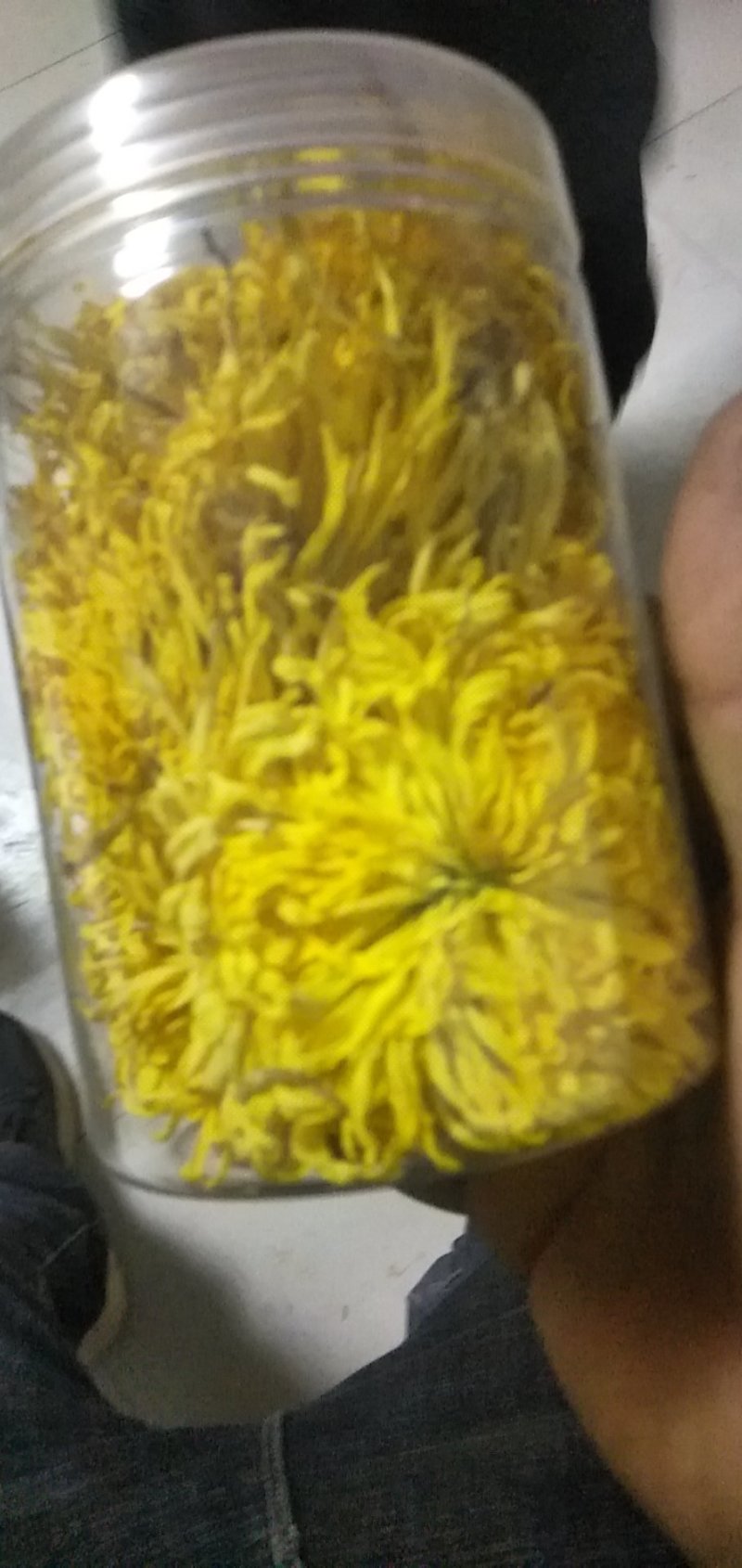 金丝黄菊