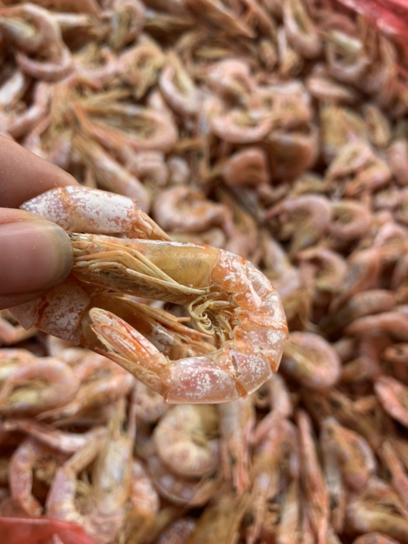 即食中号虾干微商电商实体淘货源专业保密一件代发