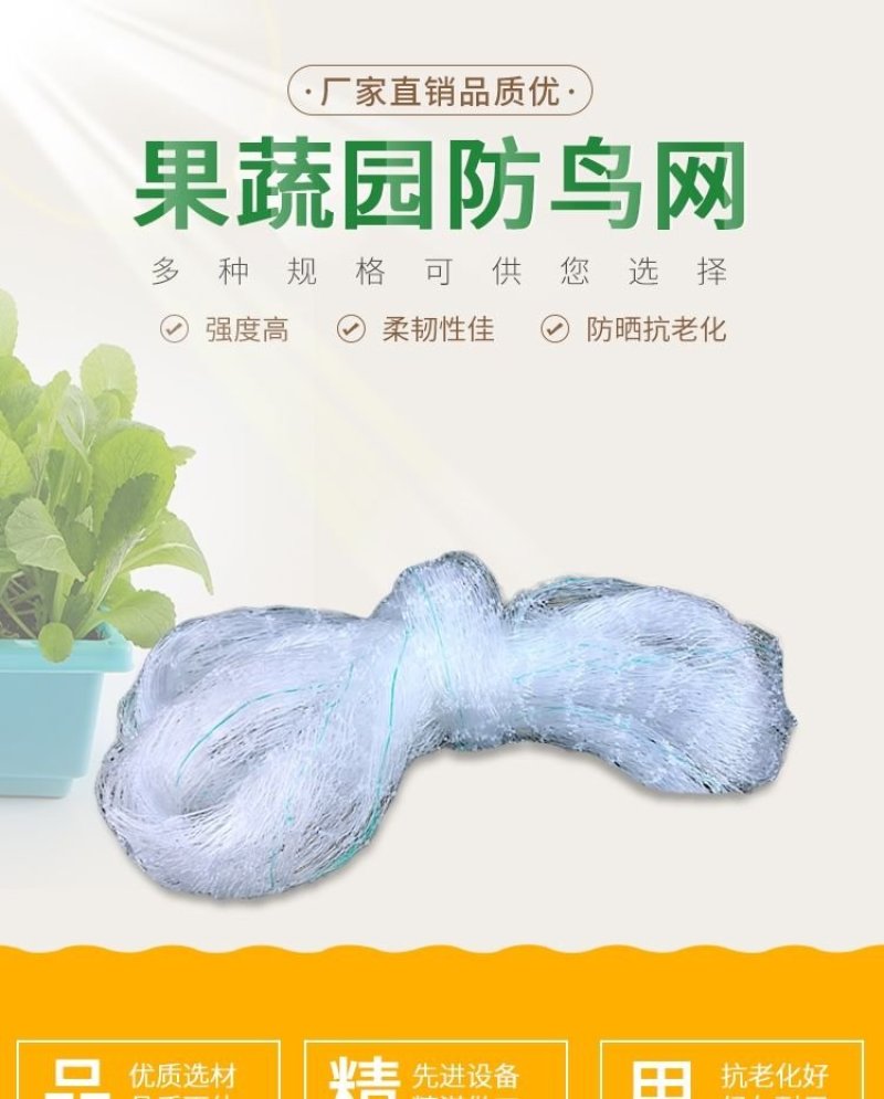 果园尼龙防鸟网天网防护网钓鱼线防鸟网