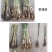 芦苇
