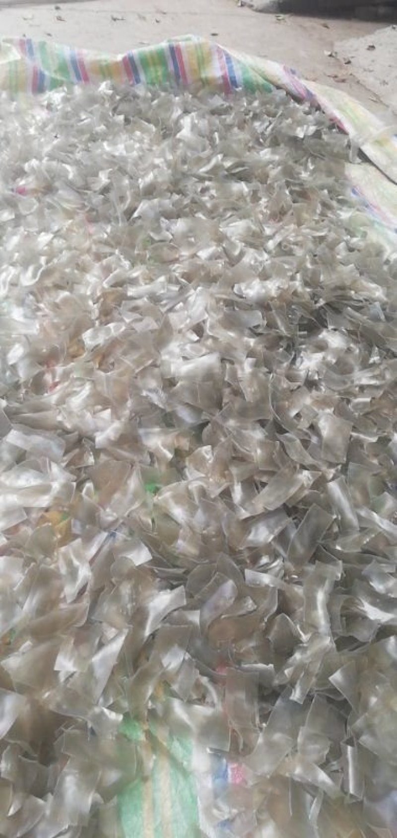 【按需代工】红薯粉皮散装手工粉皮