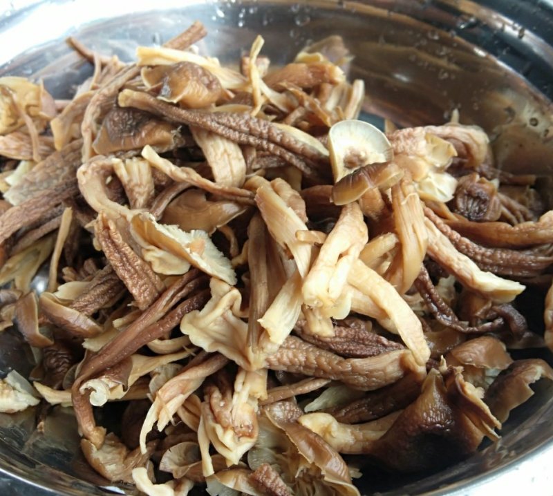 鹿茸菇