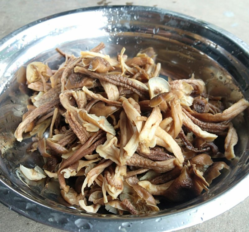 鹿茸菇