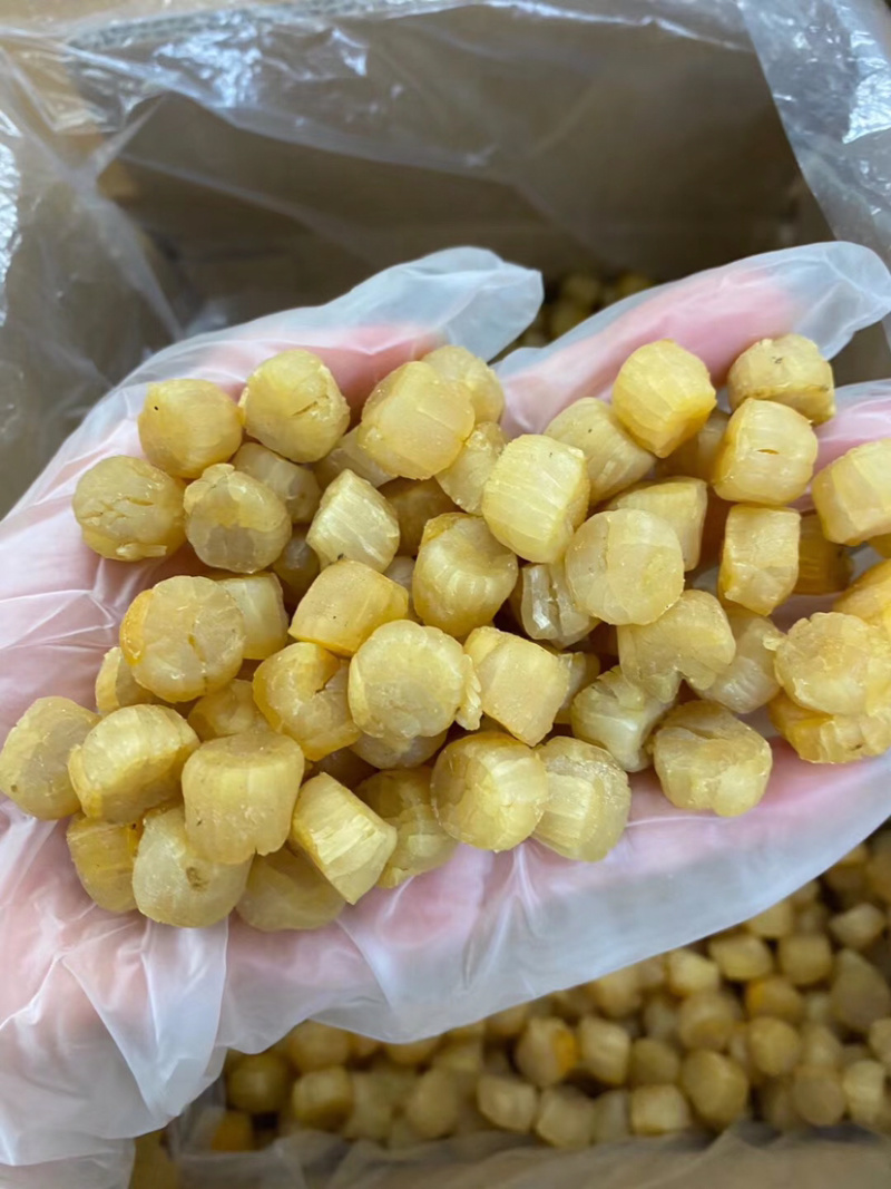 煮粥备用的元贝干瑶柱营养成分高