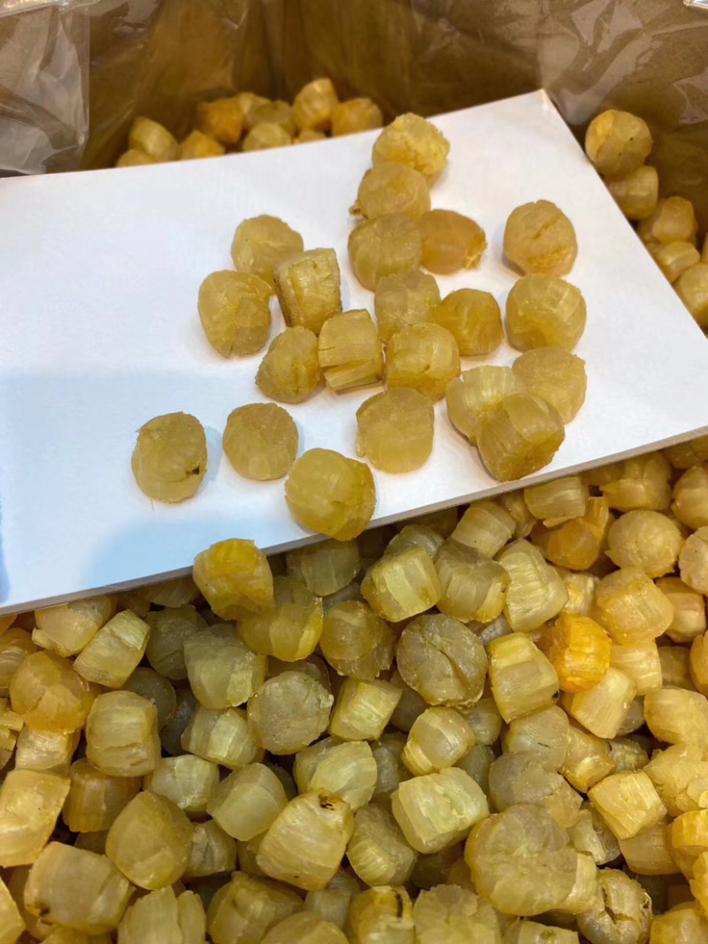 煮粥备用的元贝干瑶柱营养成分高