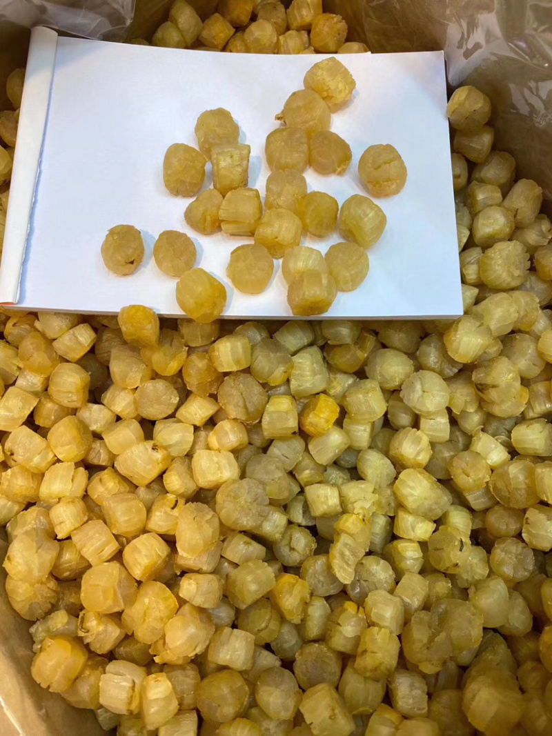 煮粥备用的元贝干瑶柱营养成分高