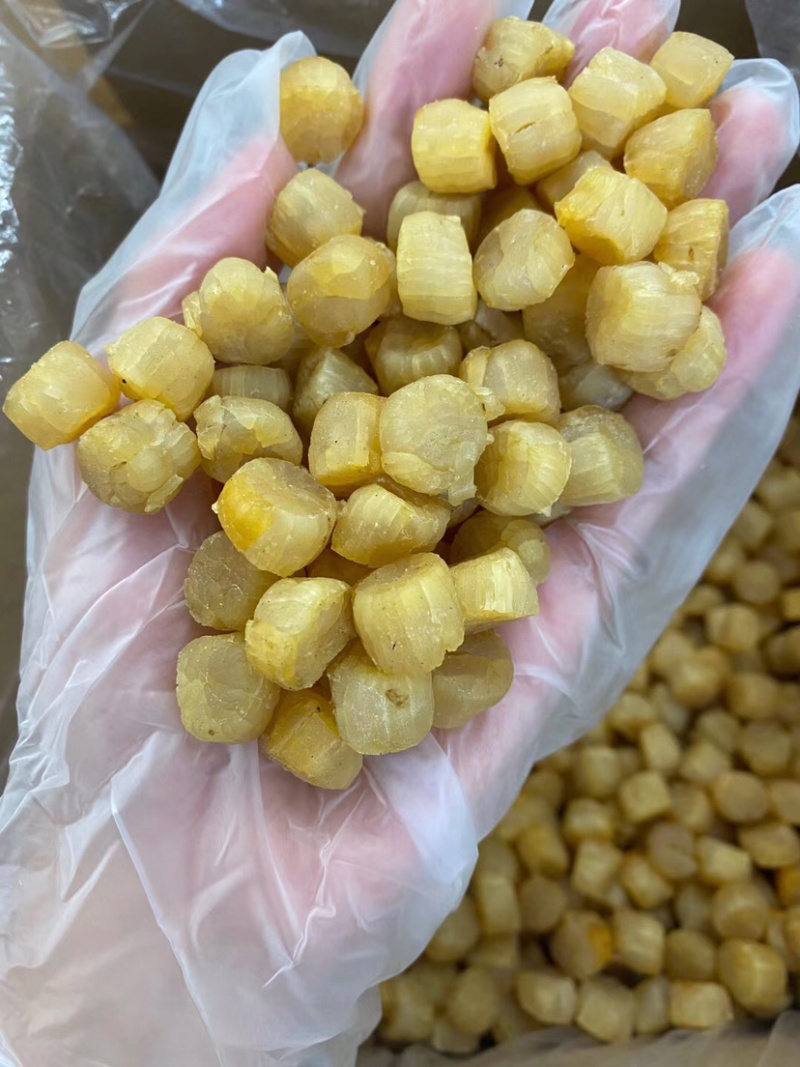 煮粥备用的元贝干瑶柱营养成分高