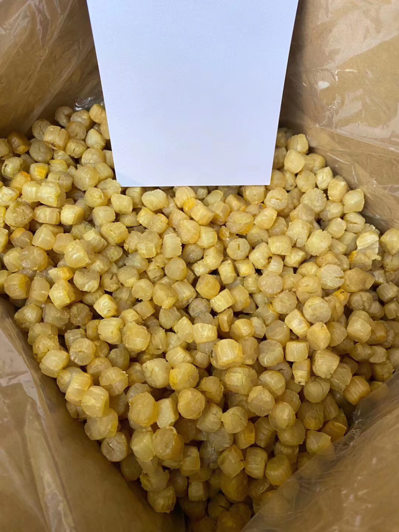 煮粥备用的元贝干瑶柱营养成分高