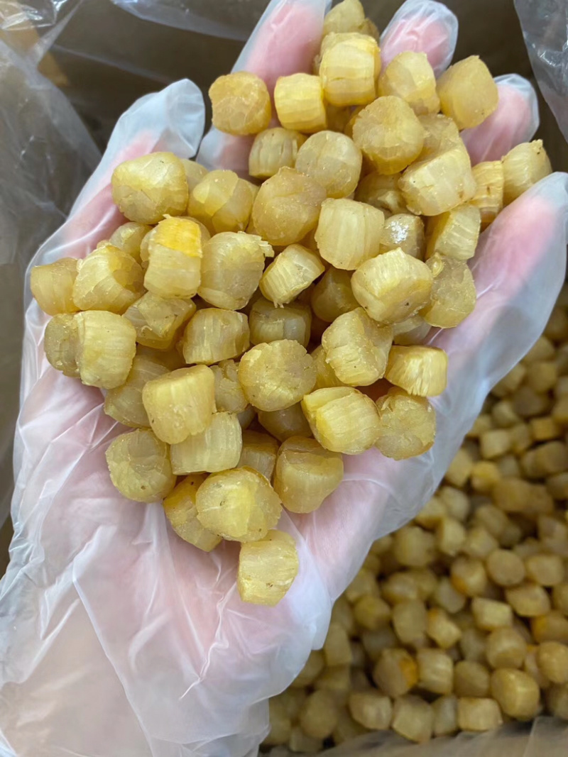 煮粥备用的元贝干瑶柱营养成分高