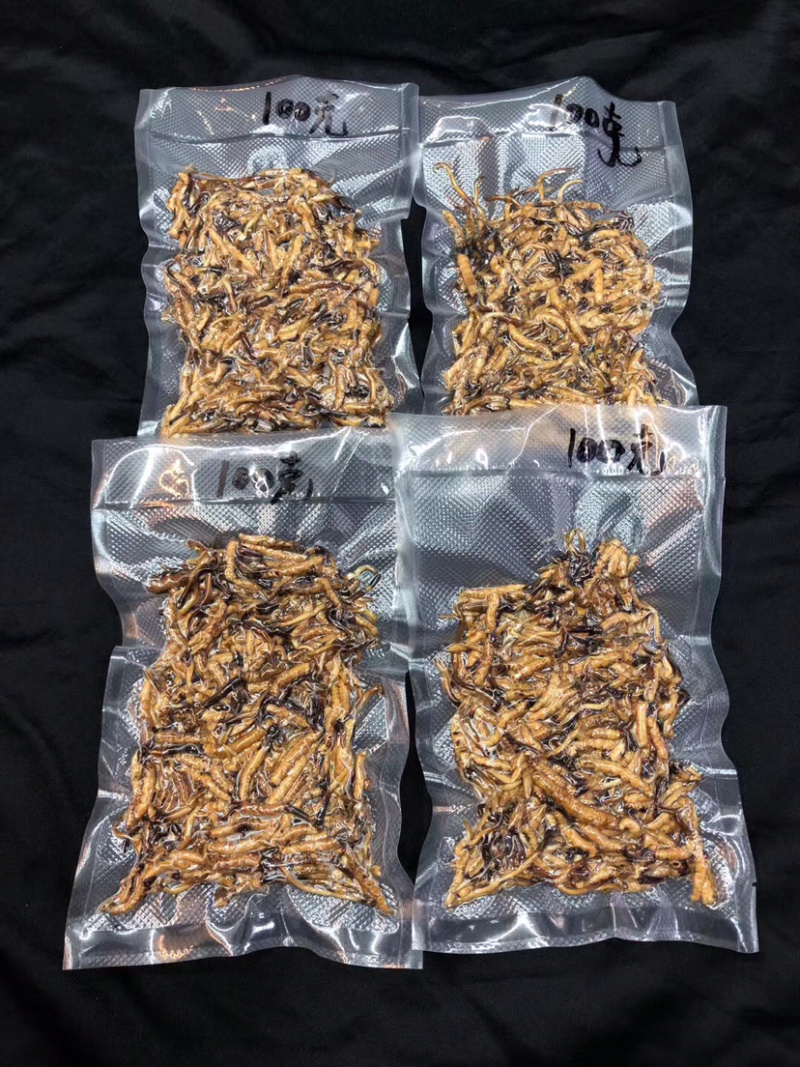 冬虫夏草新鲜短草产地直销价格批发招代理