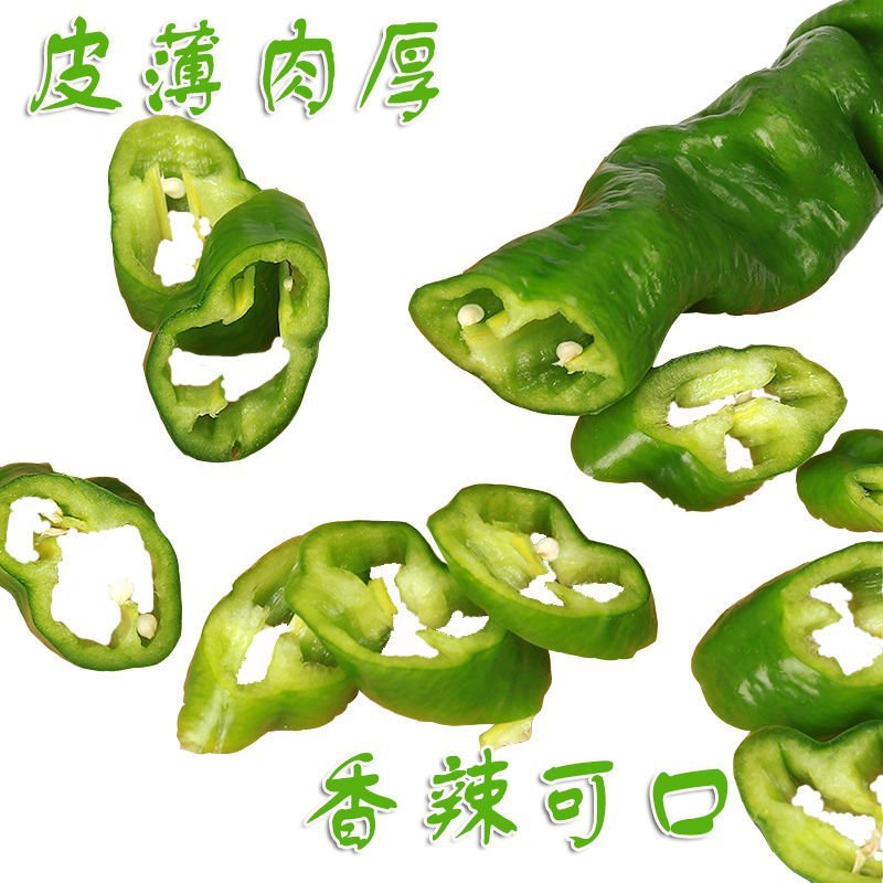 热销【精品】东北海城当地特产螺丝椒有意着请与我联系