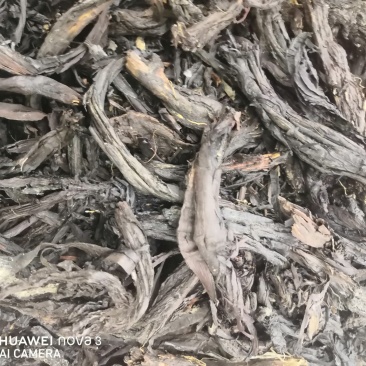紫草中药材！规格其全一手货源价格优！量大包邮。