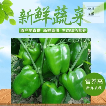 热销【精品】东北海城当地特产太空椒有意着请与我联系