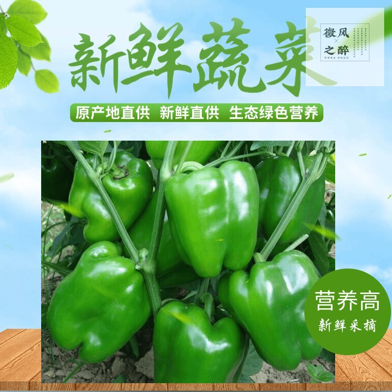 热销【精品】东北海城当地特产太空椒有意着请与我联系