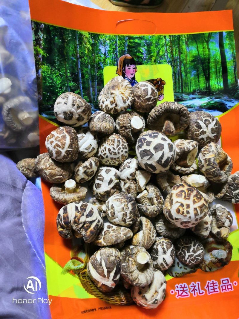 香菇，自家种植，今年鲜干菇，花菇，