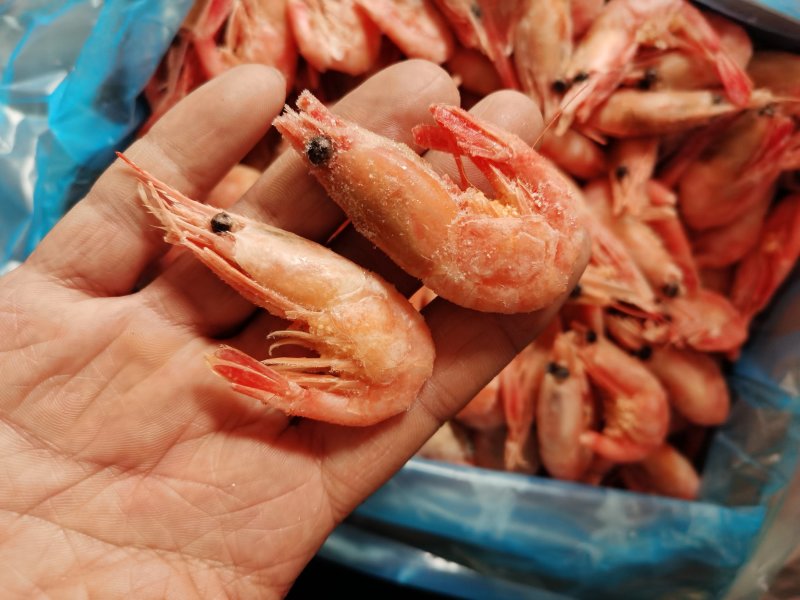 包邮北极虾甜虾刺身即食冰虾鲜活带籽头腹籽海鲜水产冻虾