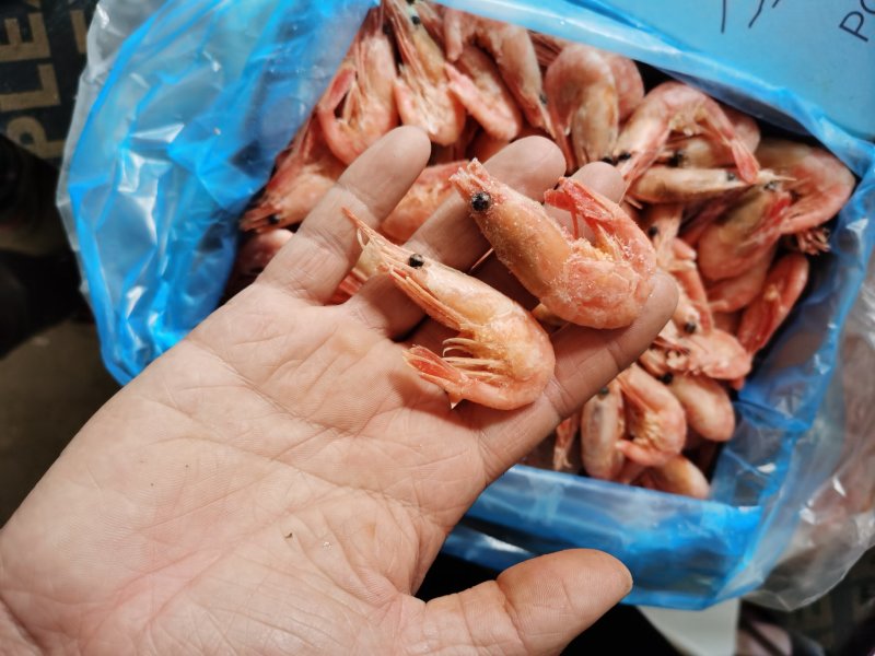 包邮北极虾甜虾刺身即食冰虾鲜活带籽头腹籽海鲜水产冻虾