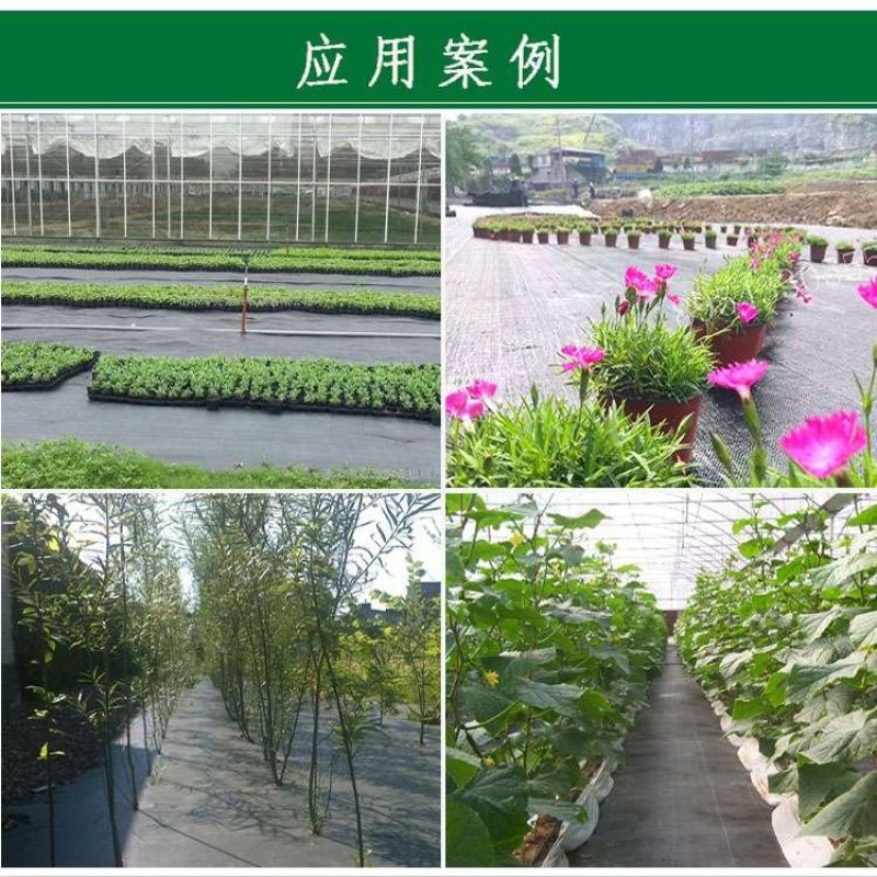 园艺地布果园防草布除草布耐用盖草布大棚果园