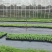 园艺地布果园防草布除草布耐用盖草布大棚果园