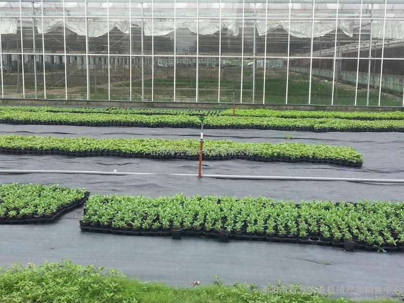 园艺地布果园防草布除草布耐用盖草布大棚果园