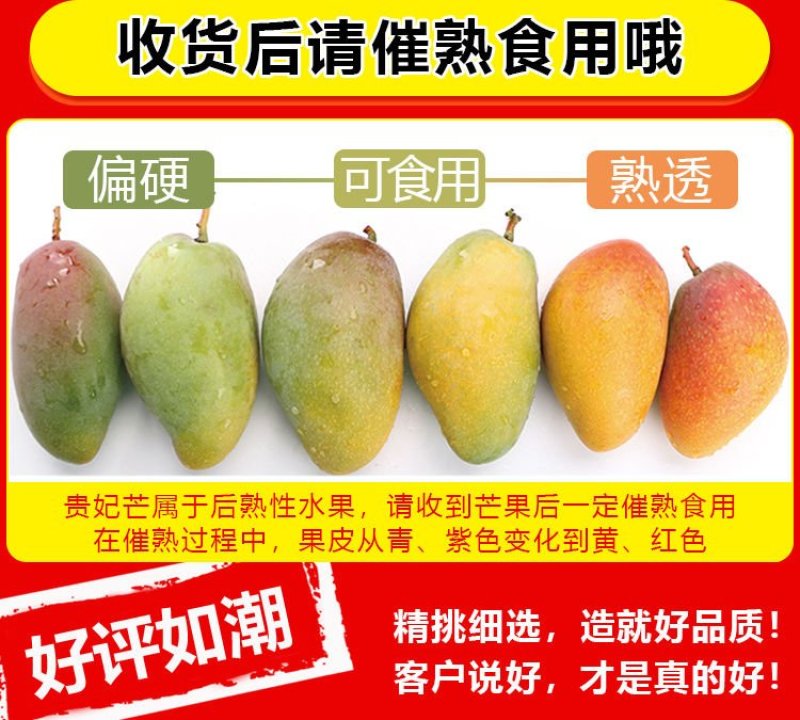 【基地直发】攀枝花红贵妃芒一件代发3斤到9斤整箱包邮