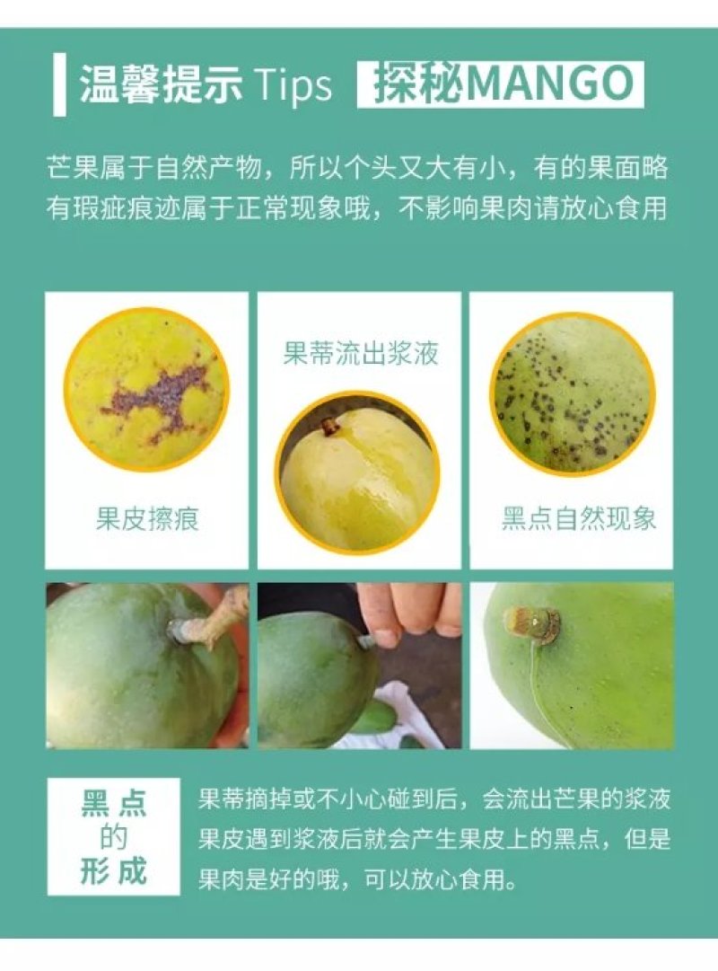 【基地直发】攀枝花红贵妃芒一件代发3斤到9斤整箱包邮