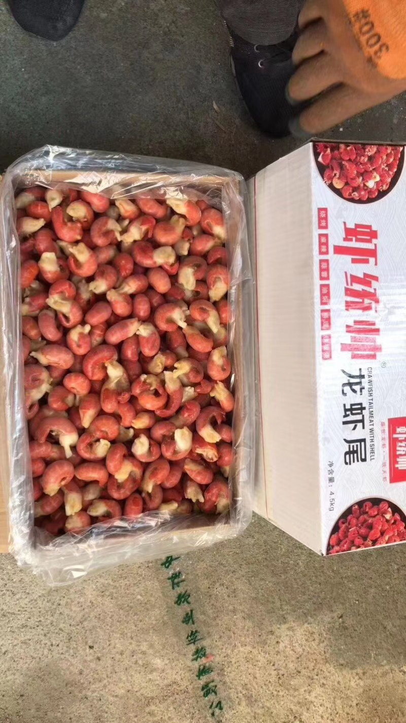 中山龙虾尾