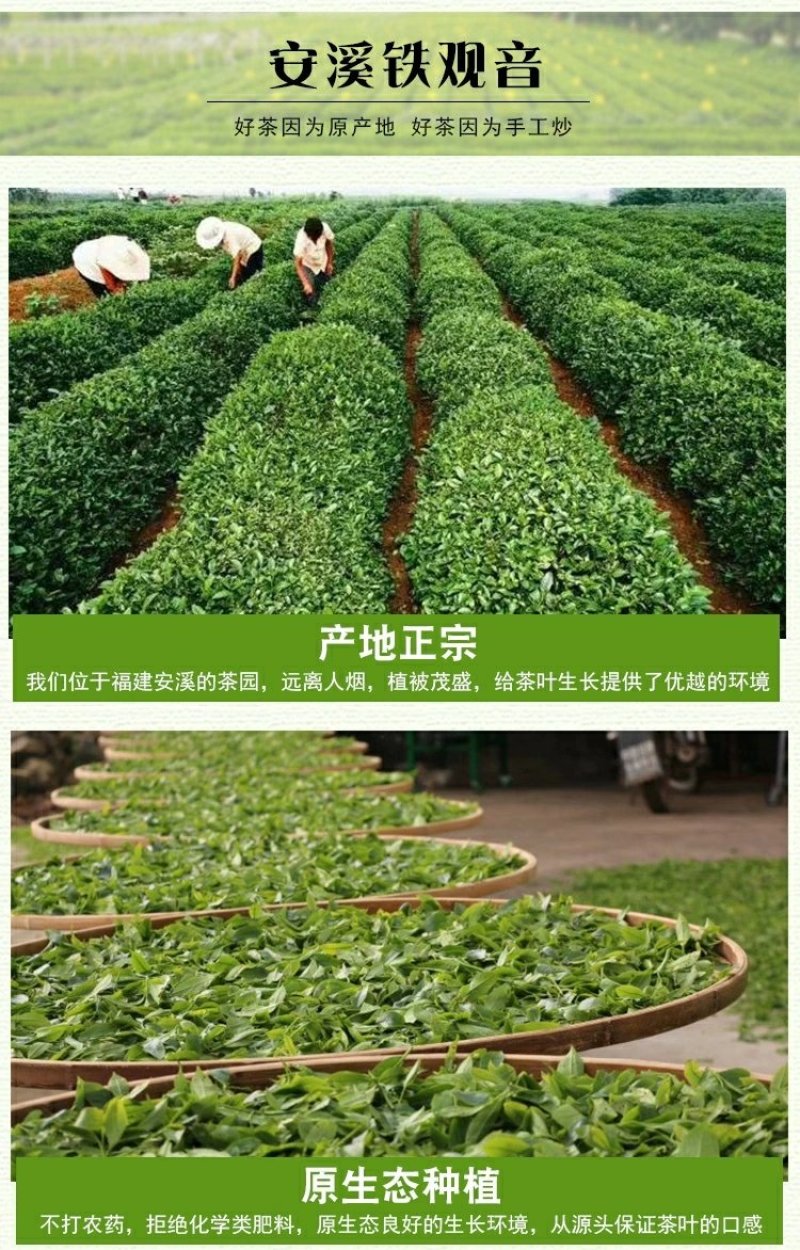 2020新茶安溪铁观音浓香型500克散装袋装