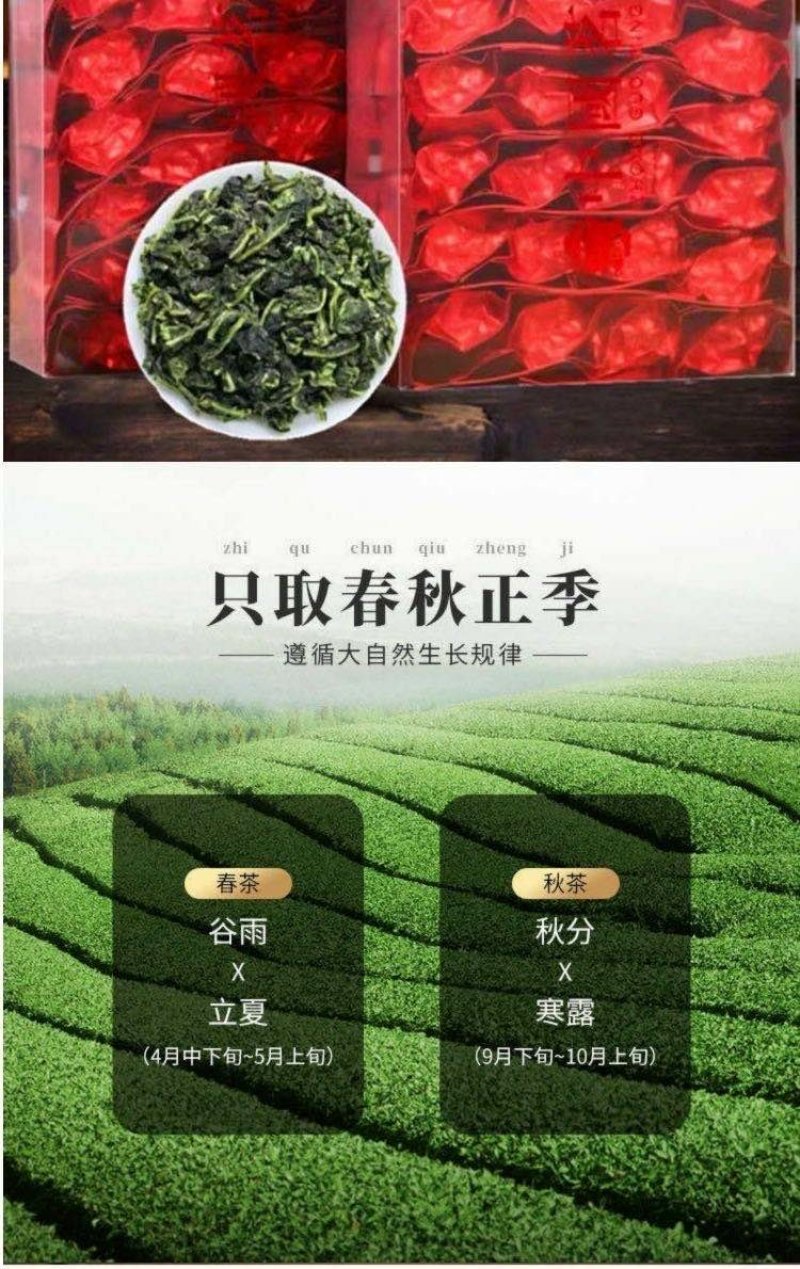 2020春茶安溪铁观音兰花香型小泡包装礼盒装
