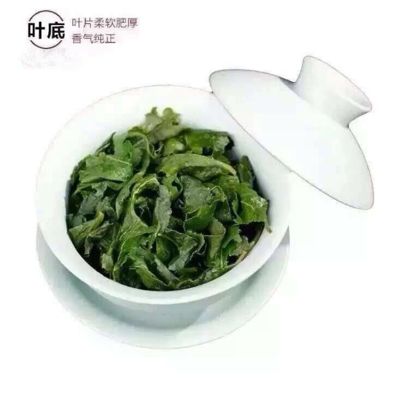 茶农直销2021春茶安溪铁观音浓香型