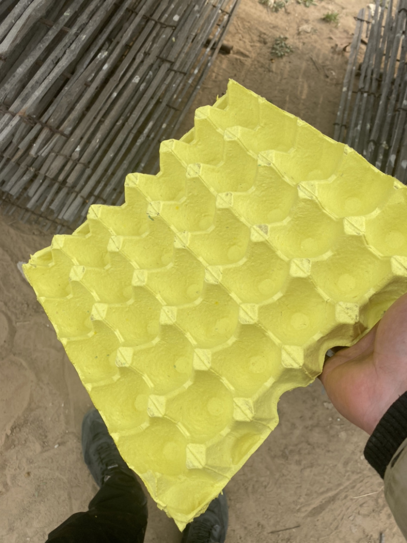 长期出售鸡蛋托，用量大的客户，质量好，有要的联系价格便宜