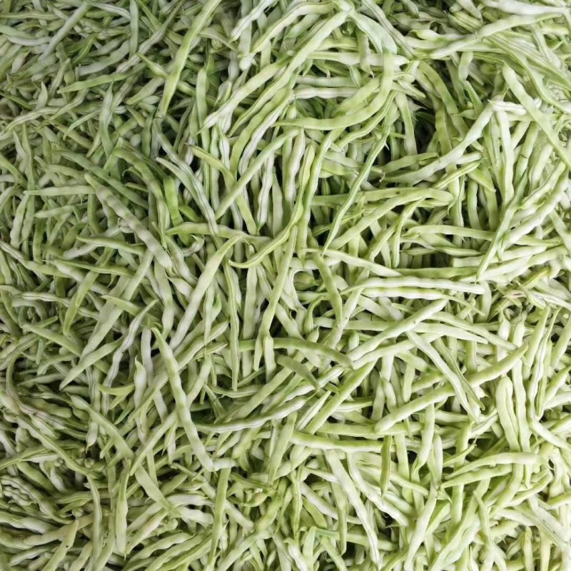 芸豆20cm以上产地直销一首货源可视频看货支持发货