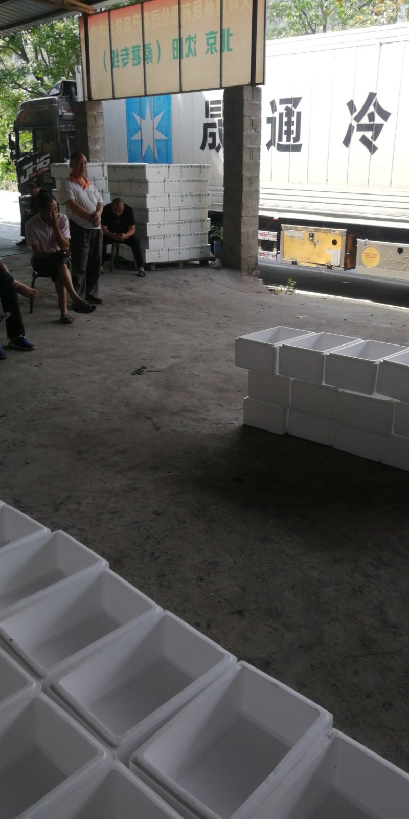 新鲜桑葚