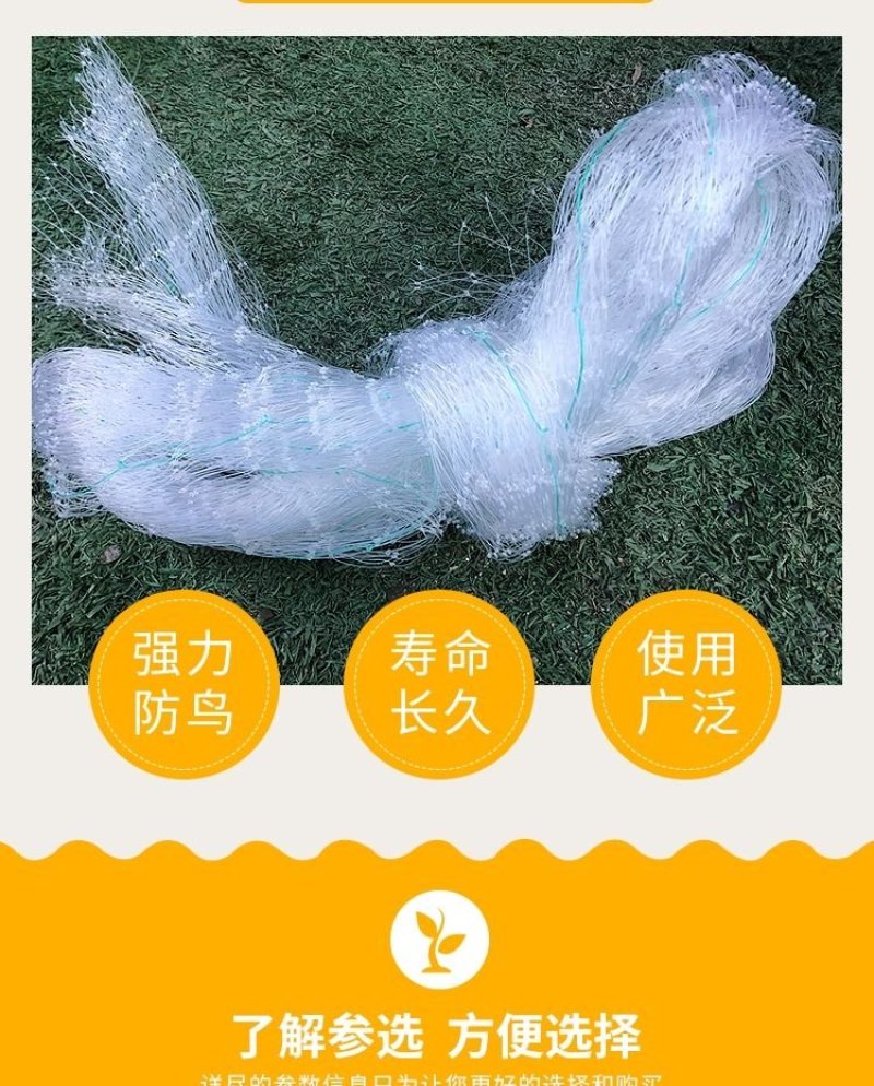 果园尼龙防鸟网天网防护网钓鱼线防鸟网