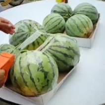8424精品西瓜