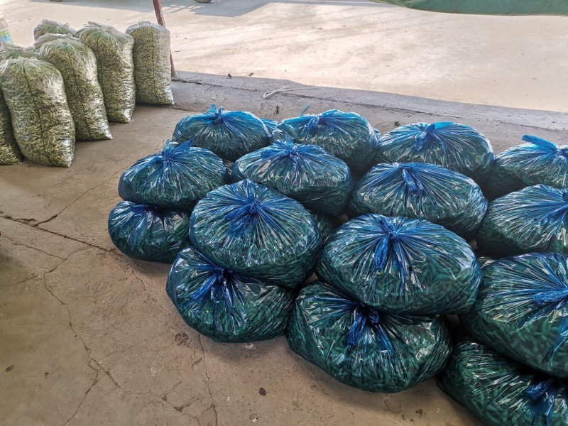 安徽芜湖新上市毛豆豇豆农产地直销