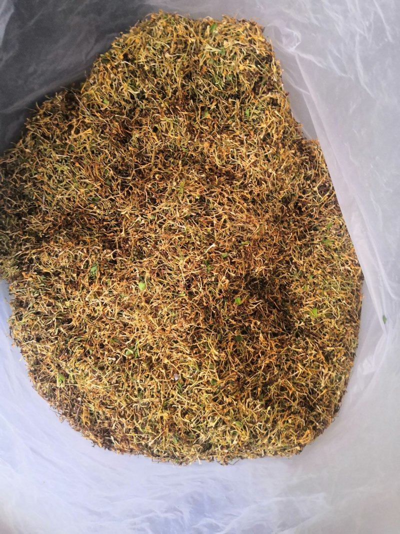 云南野生金银花可视频
