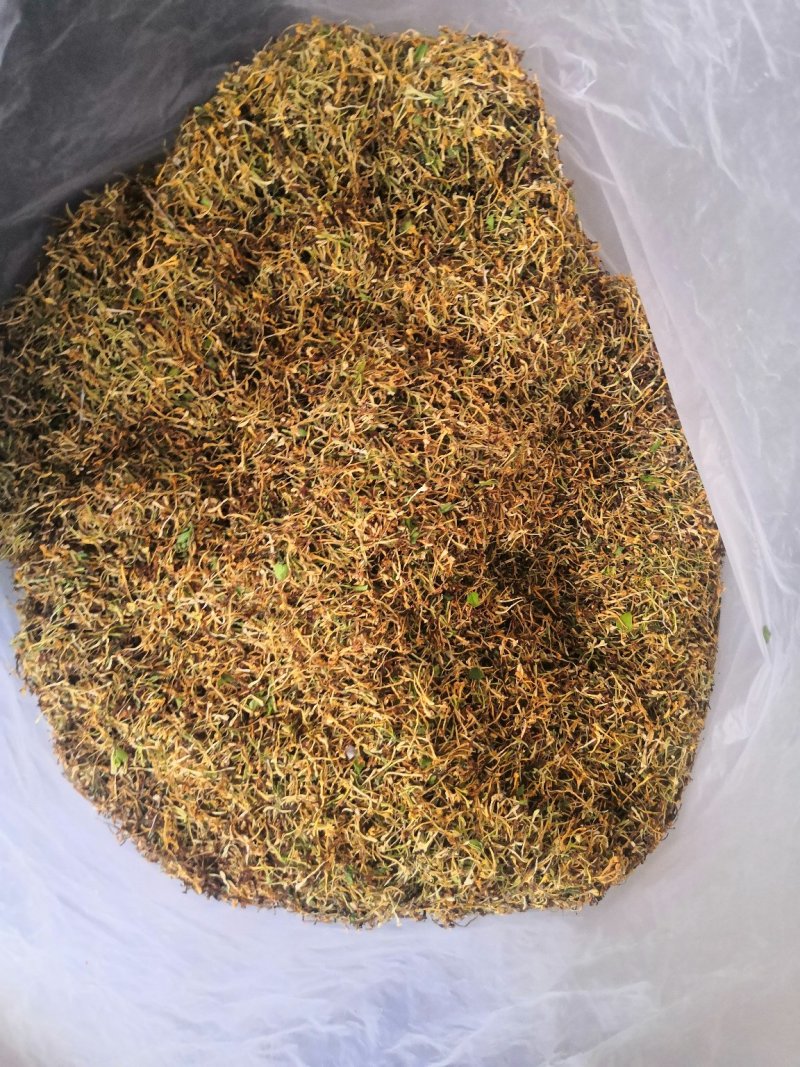 云南野生金银花可视频
