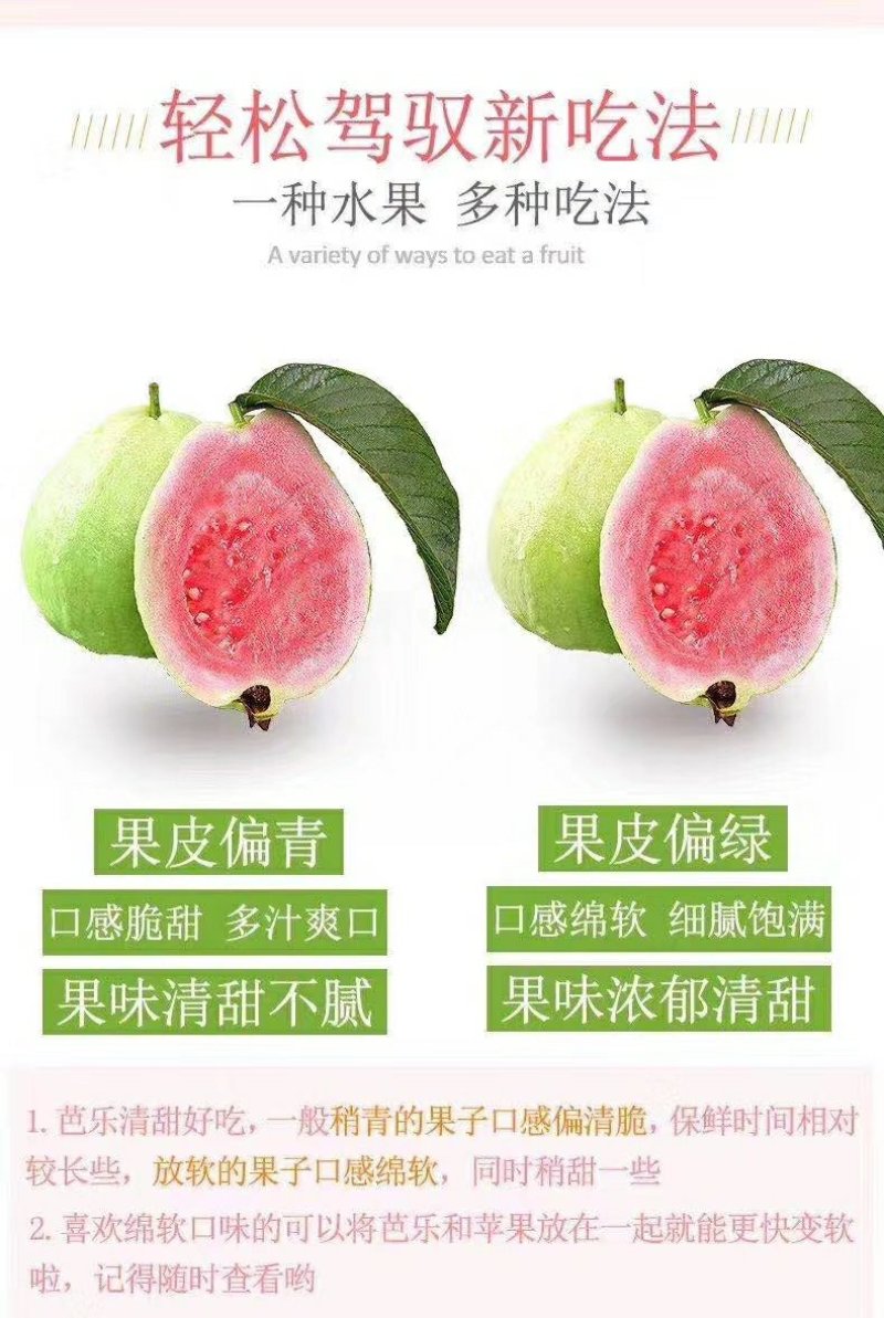 西瓜红芭乐石榴，白肉石榴，货量大，天天有货