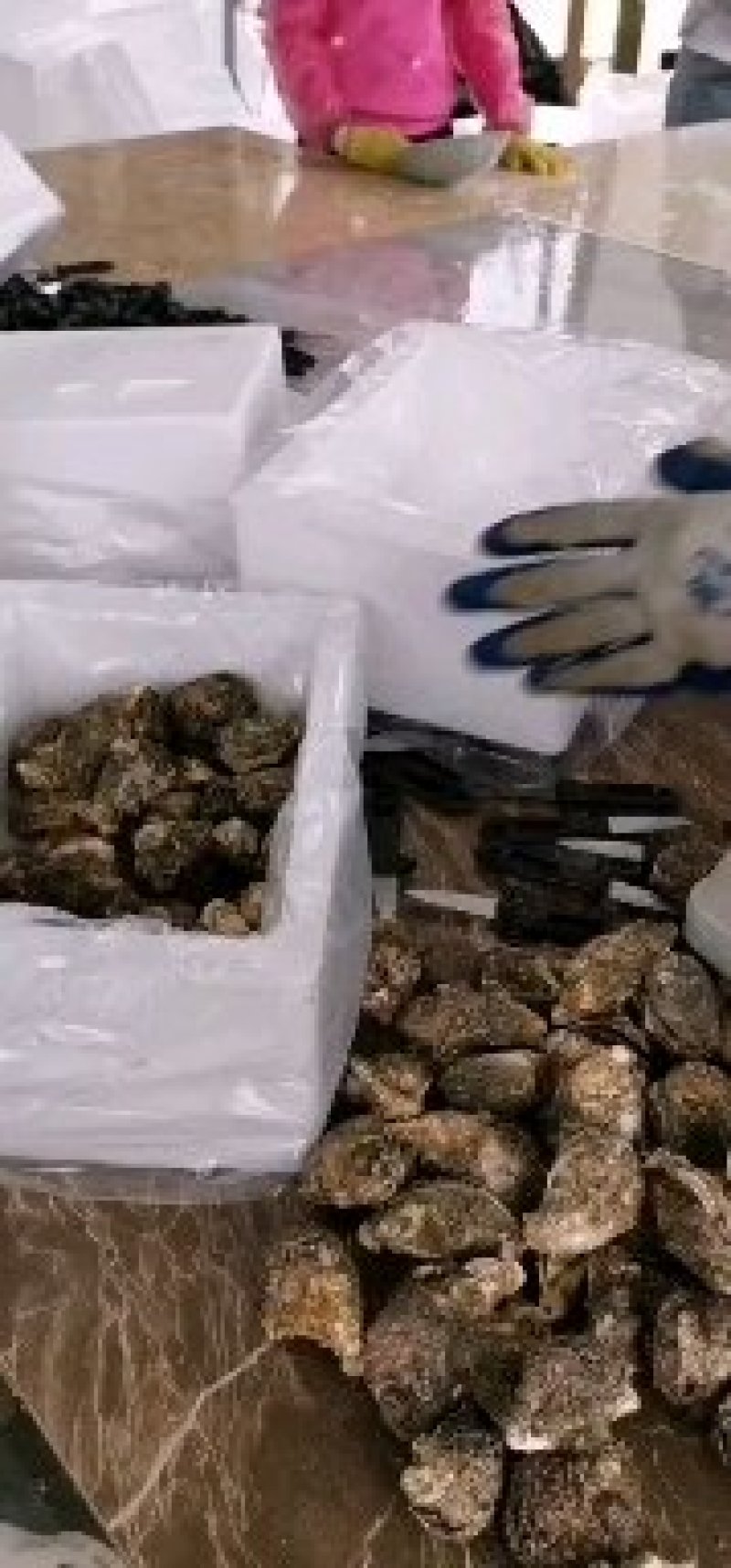 福建二倍体，三倍体生蚝壳薄肉肥，接受大包装，小包装