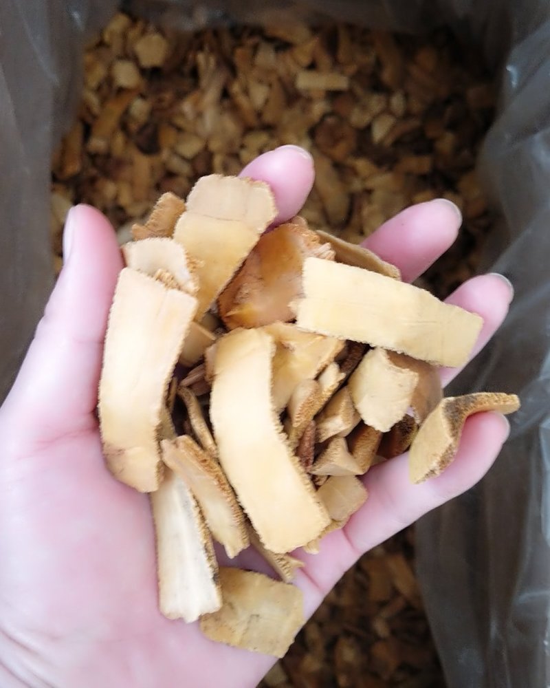 巴西龟板，旱地龟板，去皮，生的，制的均