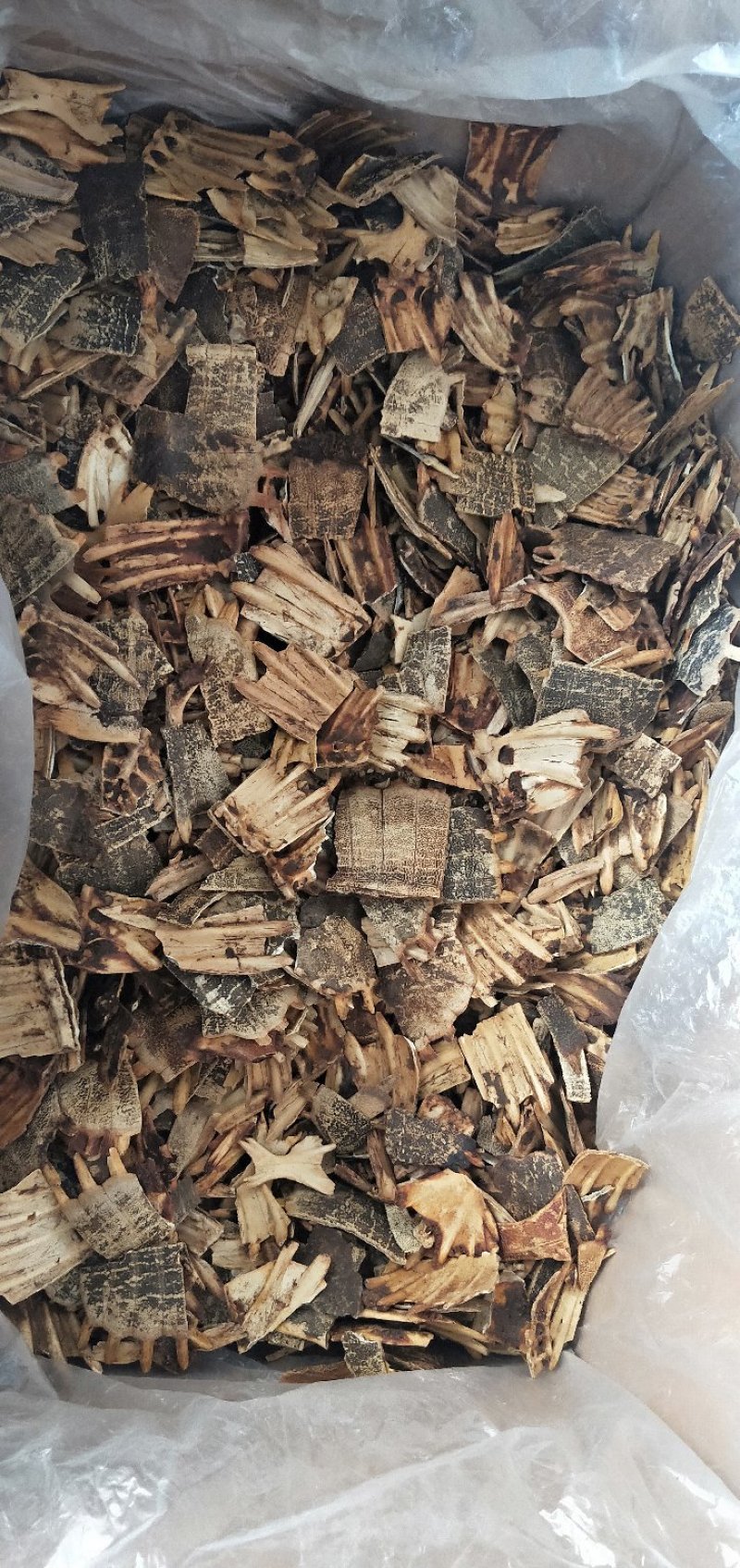 鳖甲个子，四半鳖甲，炒鳖甲，炒下甲