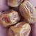 网红伊拉克黄椰枣大颗粒对接代发多种合作模式价格优势大