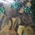 中药材常山无硫无添加正品一公斤起包邮