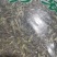 中药材百里香天然无硫熏一公斤起包邮