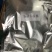 调料粉苦荞片紫薯片玉米片山药片半成品